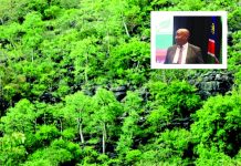 One million trees targeted by 2030