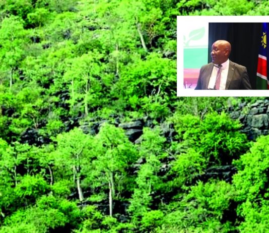 One million trees targeted by 2030