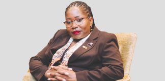 Chaurura urges partnerships to drive investment