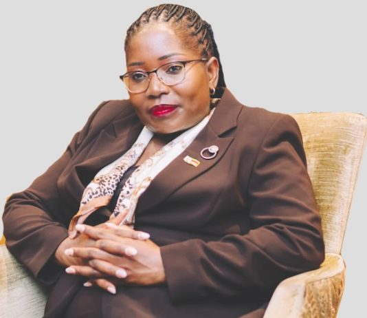 Chaurura urges partnerships to drive investment