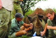 Namibia warns of irreversible environmental damage